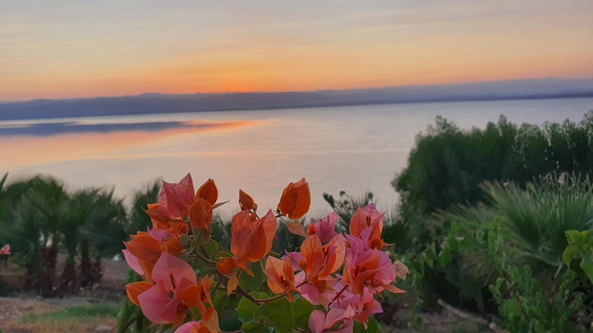 Comfy Stays at DeadSea Samarah Resort Sweimeh Bagian luar foto