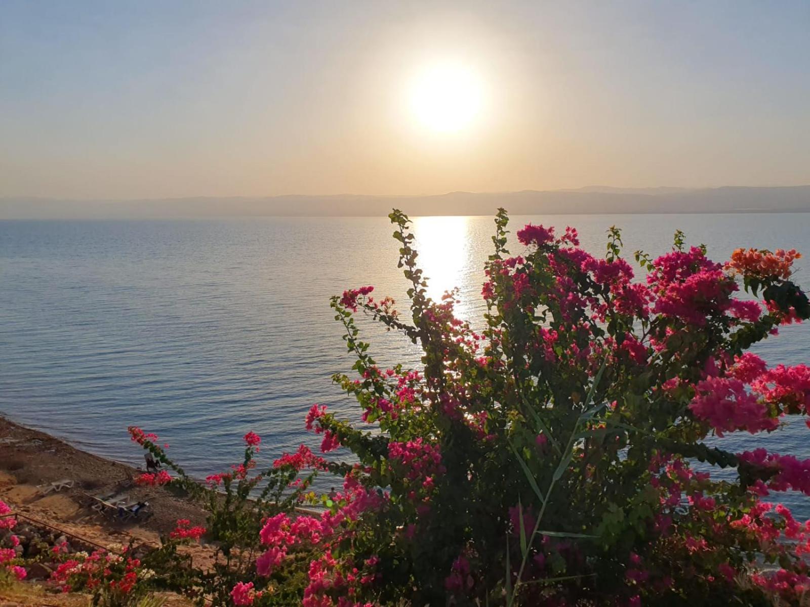 Comfy Stays at DeadSea Samarah Resort Sweimeh Bagian luar foto